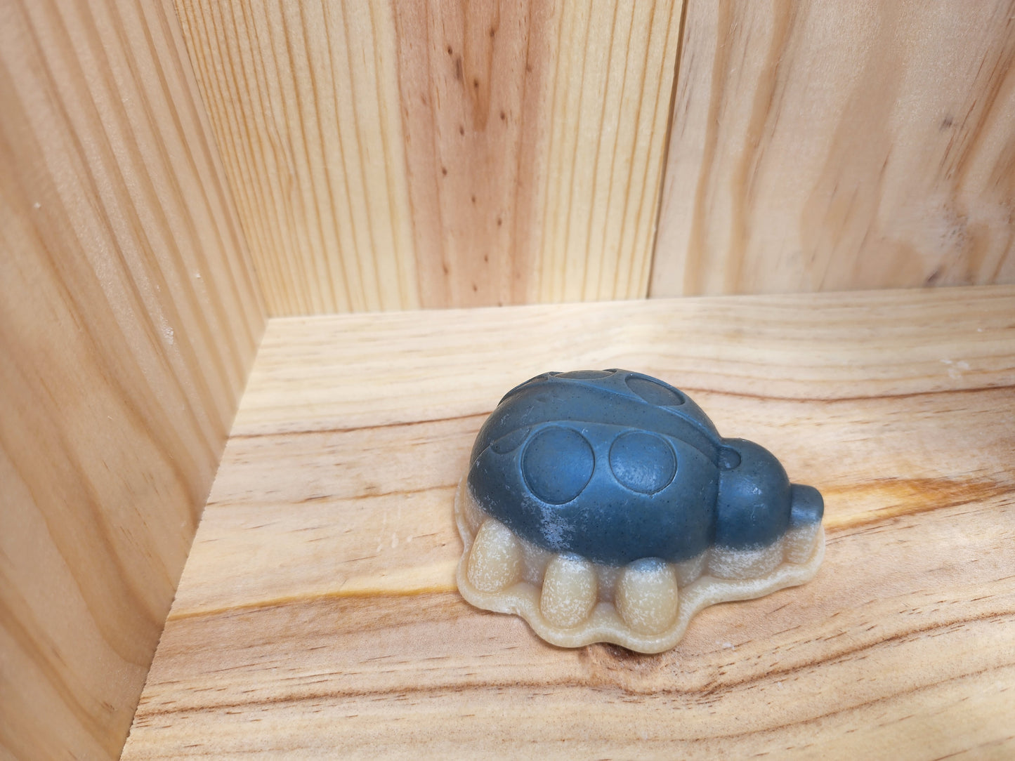 Baby Bar Beetle (unscented without antenna)