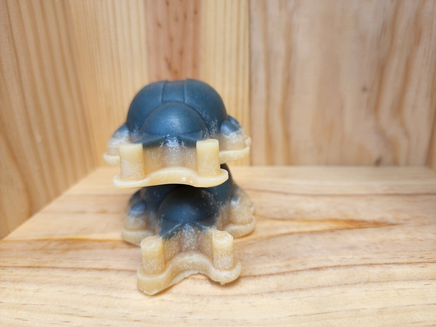 Baby Bar Beetle (unscented with antenna)