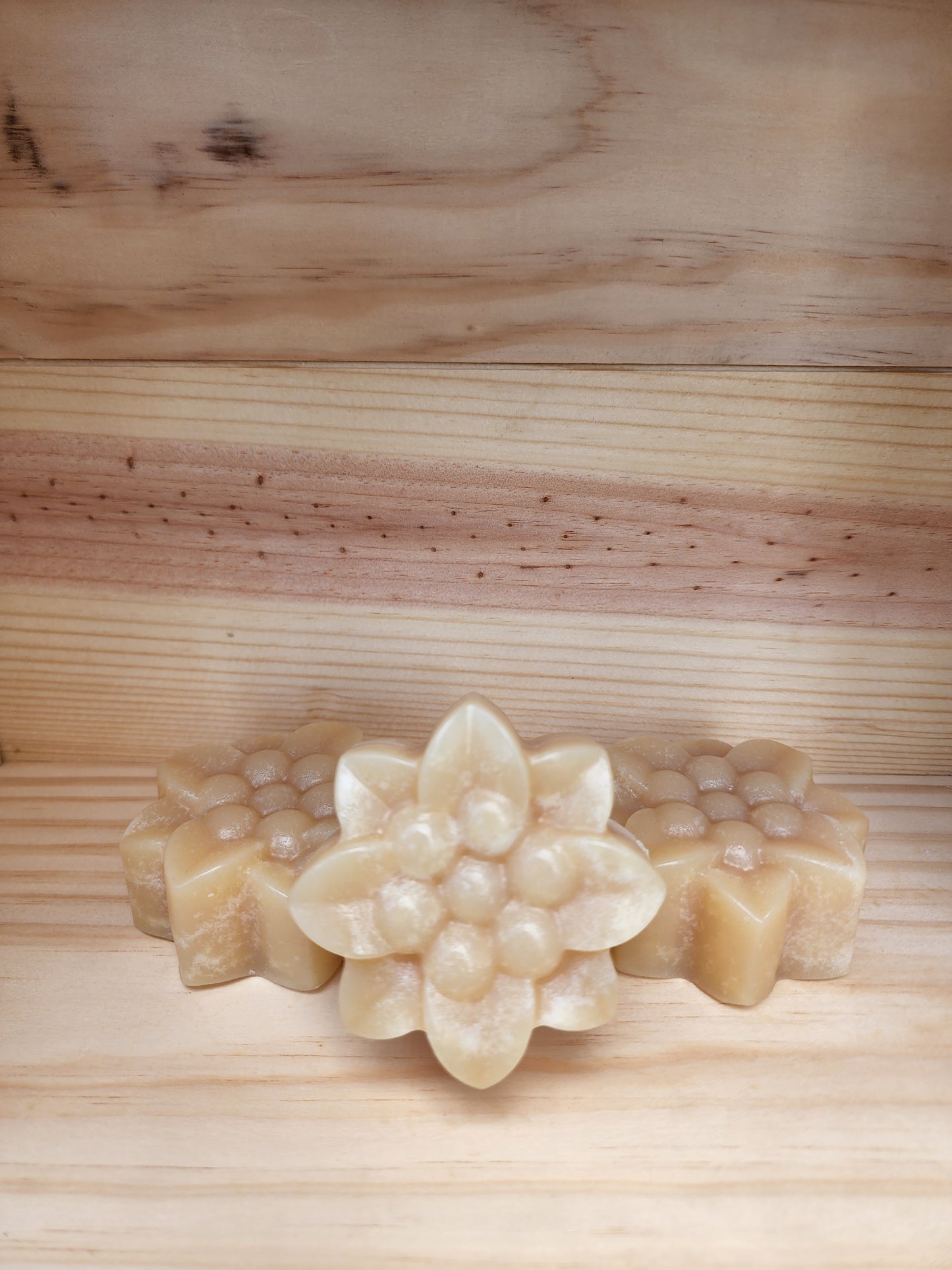 Rice Milk Soap Bar Poinsettia